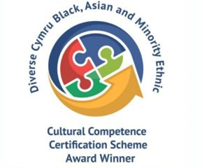 cultural competemce